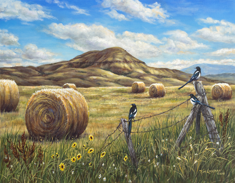 Belt Butte Summer