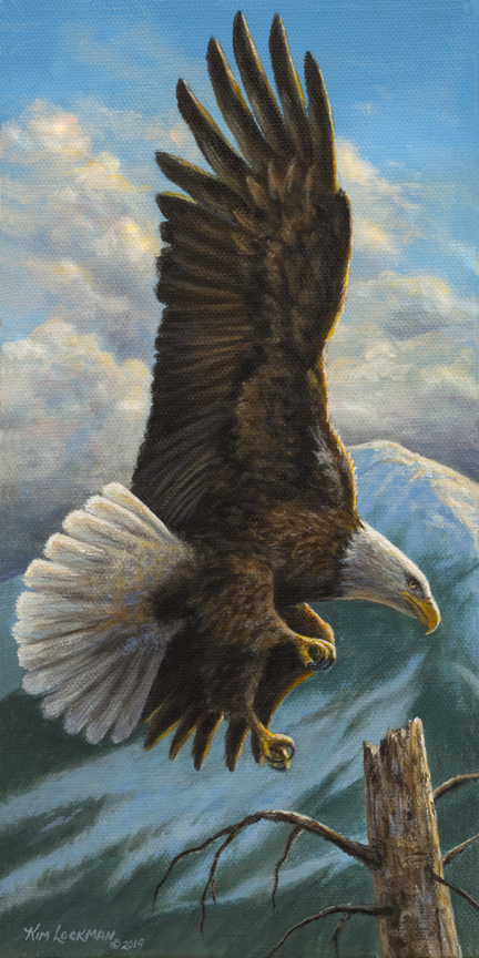 Eagles Wings