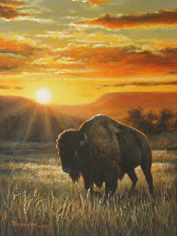 Sunset in Bison Country